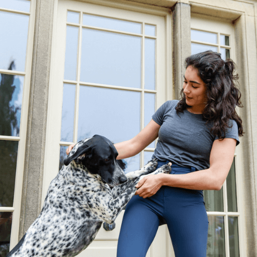 The Dog Walkers Edit