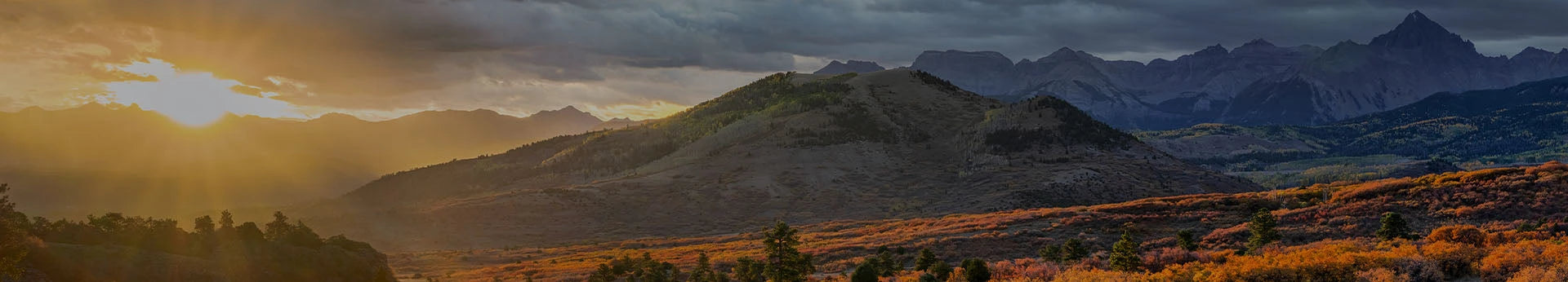 Compression tights ladies hot sale