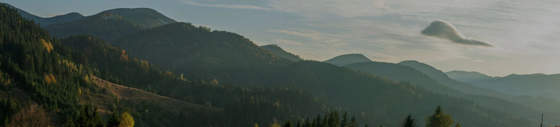 Sustainable Outdoor Accessories