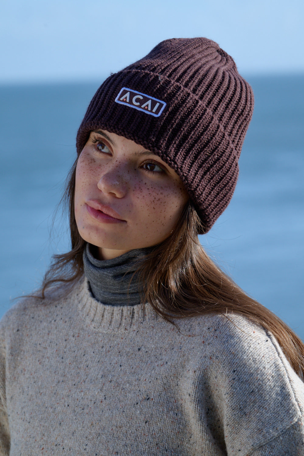 Merino Wool Beanie - Chocolate Plum