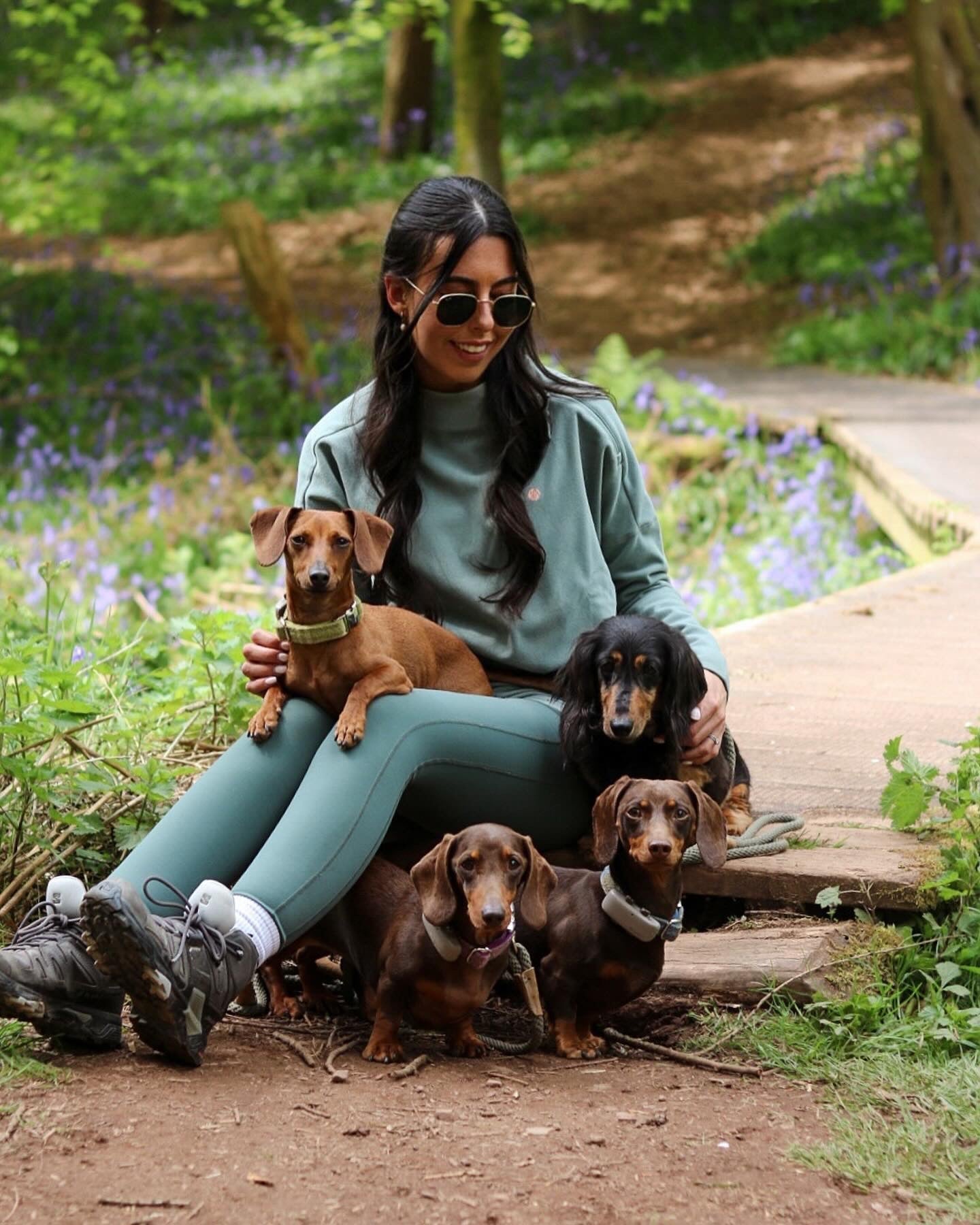 5 Of My Favorite Dog Walks in the UK