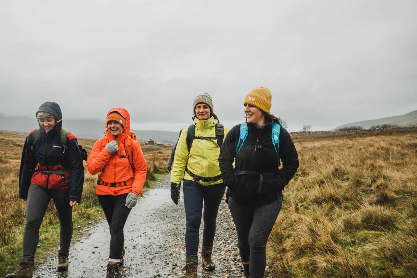 Behold the Boxing Day Walk