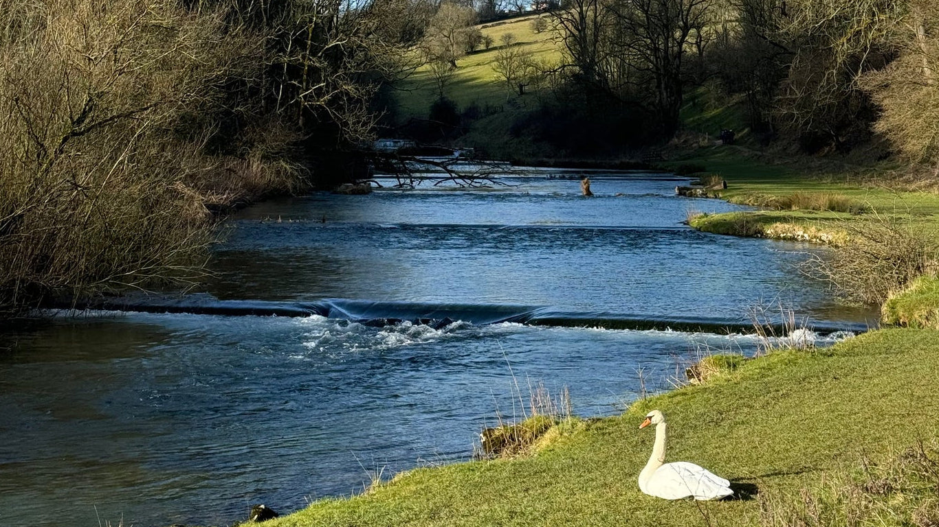 Lathkill Dale & Bradford Dale Circular Hike in the Peak District
