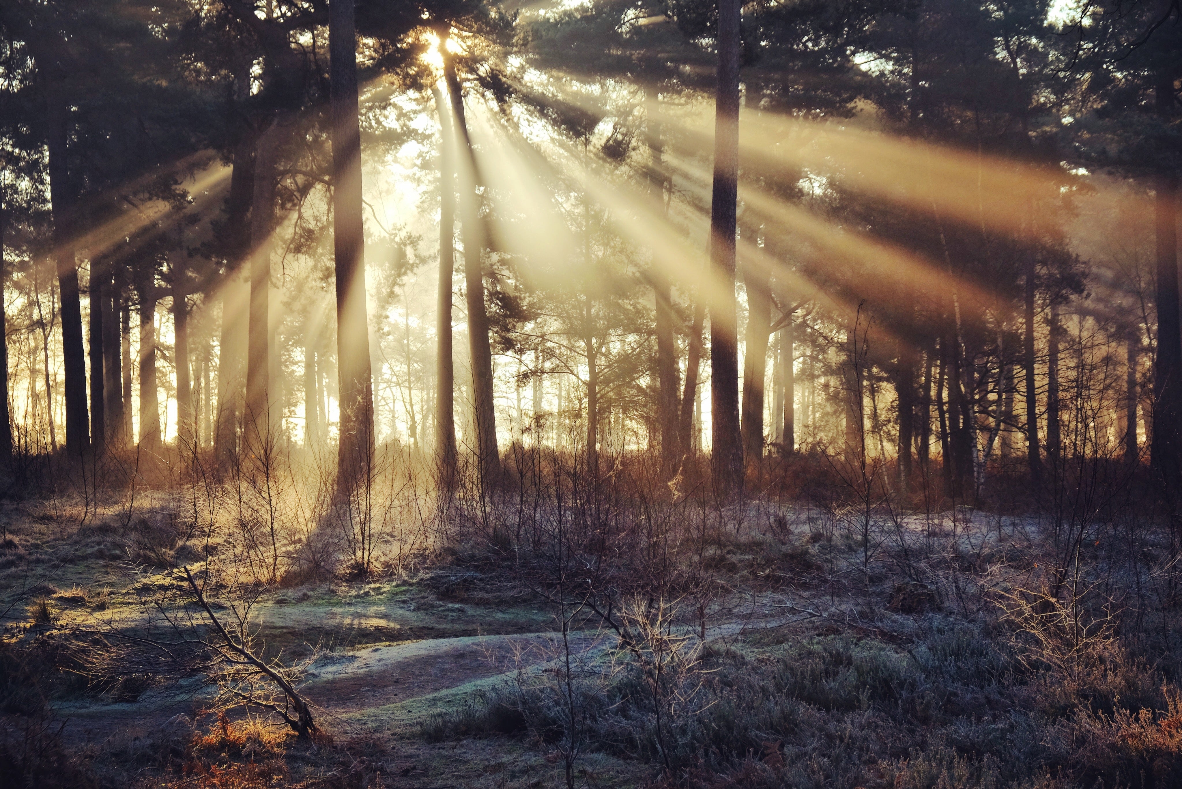 Hiking Christmas Gift Guide