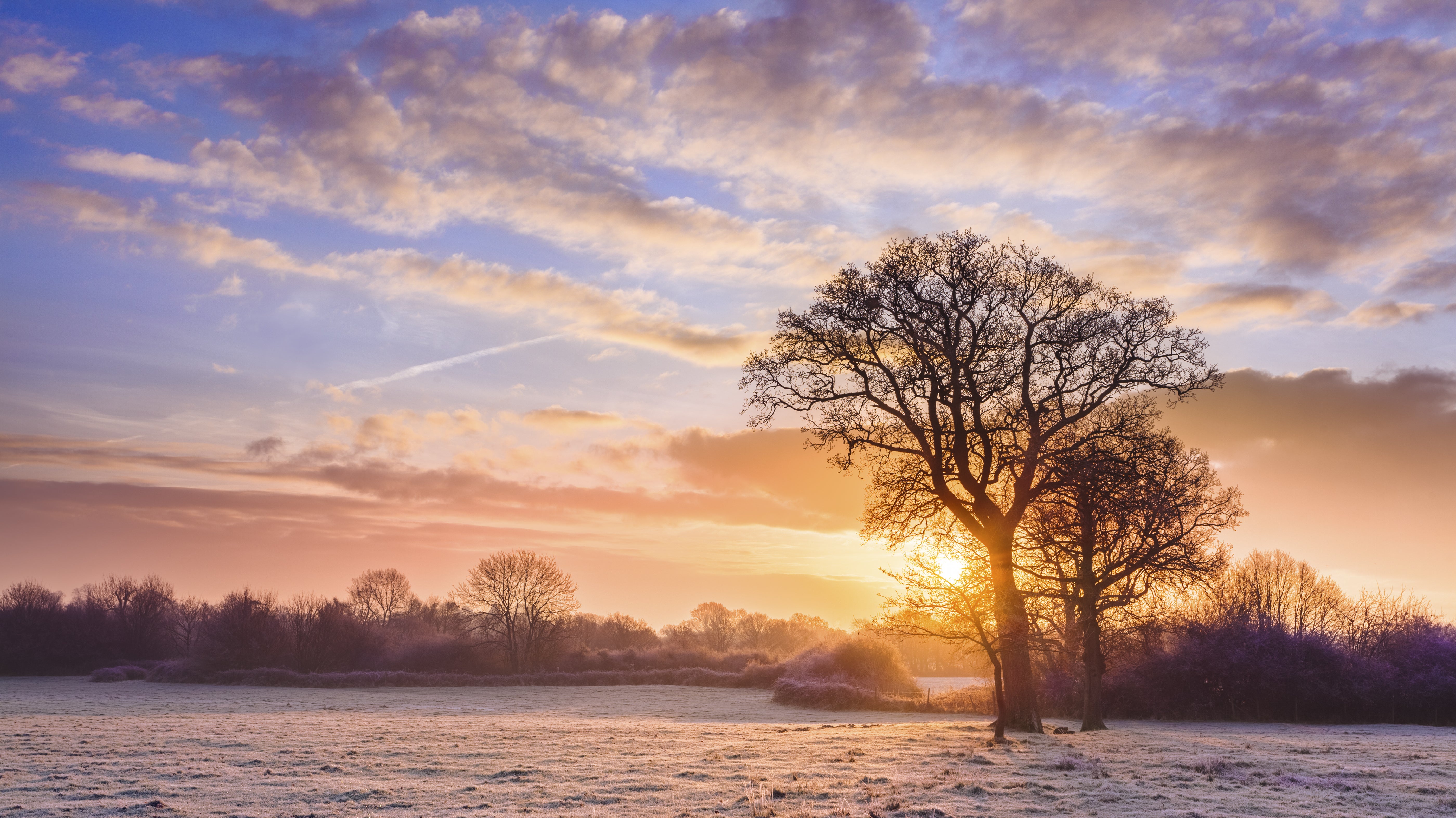 Christmas Gift Guide