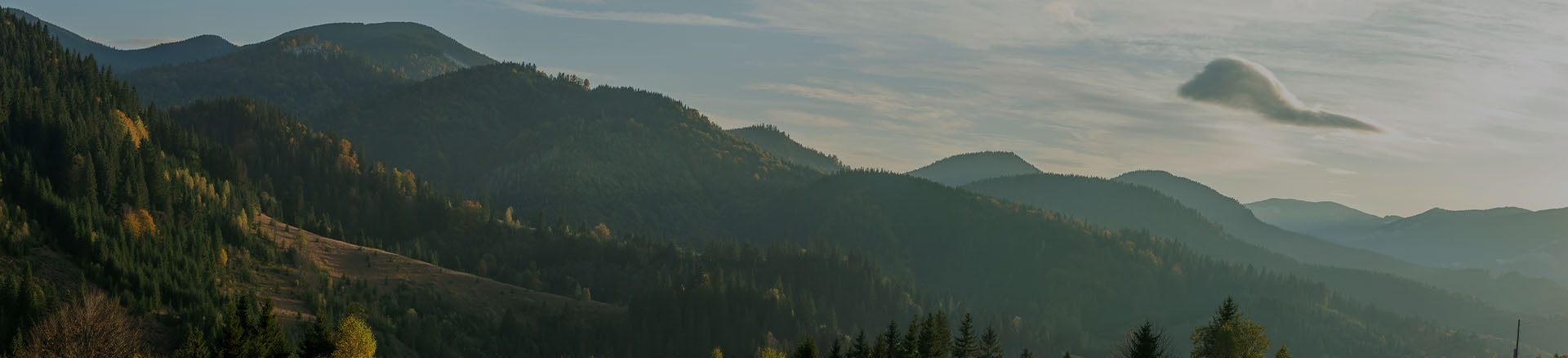 Womens Walking & Hiking Socks