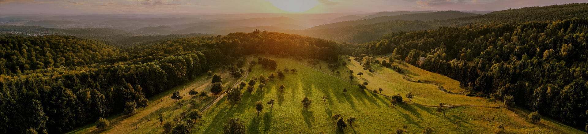 Women's All Year Wear