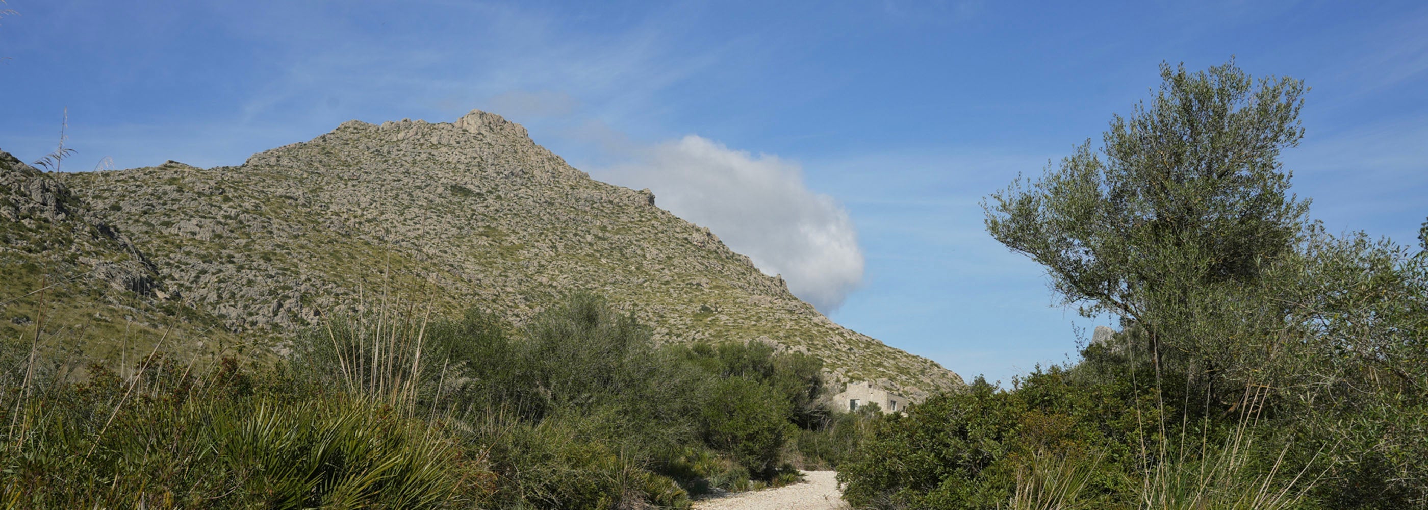 Shower Resistant Softshell Leggings