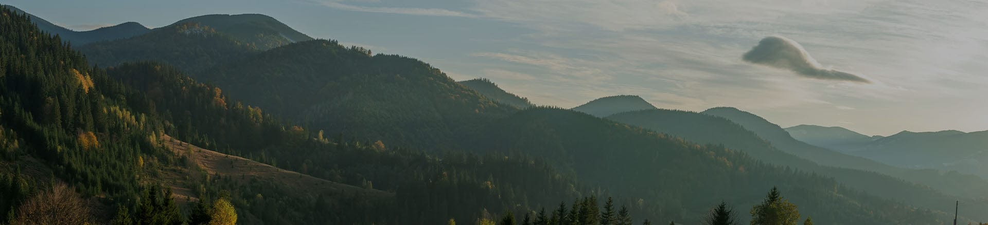 Womens Outdoor Gloves