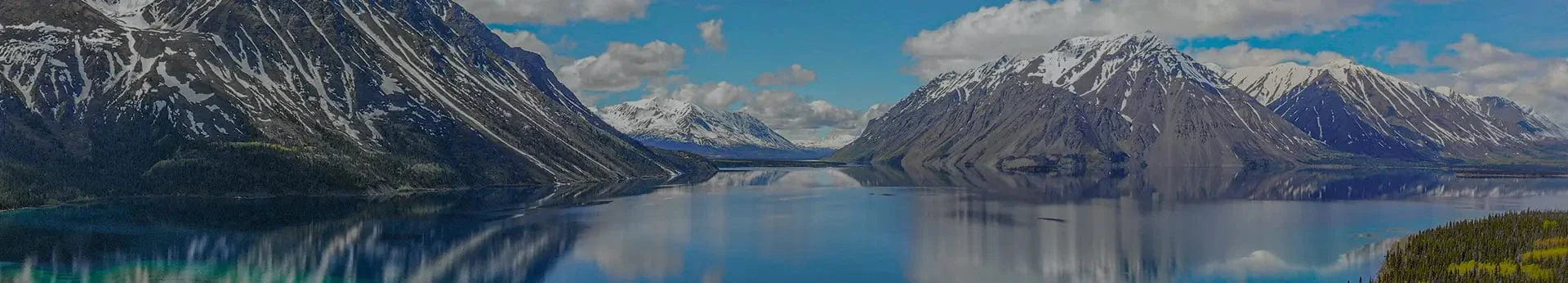 Straight Leg Trousers