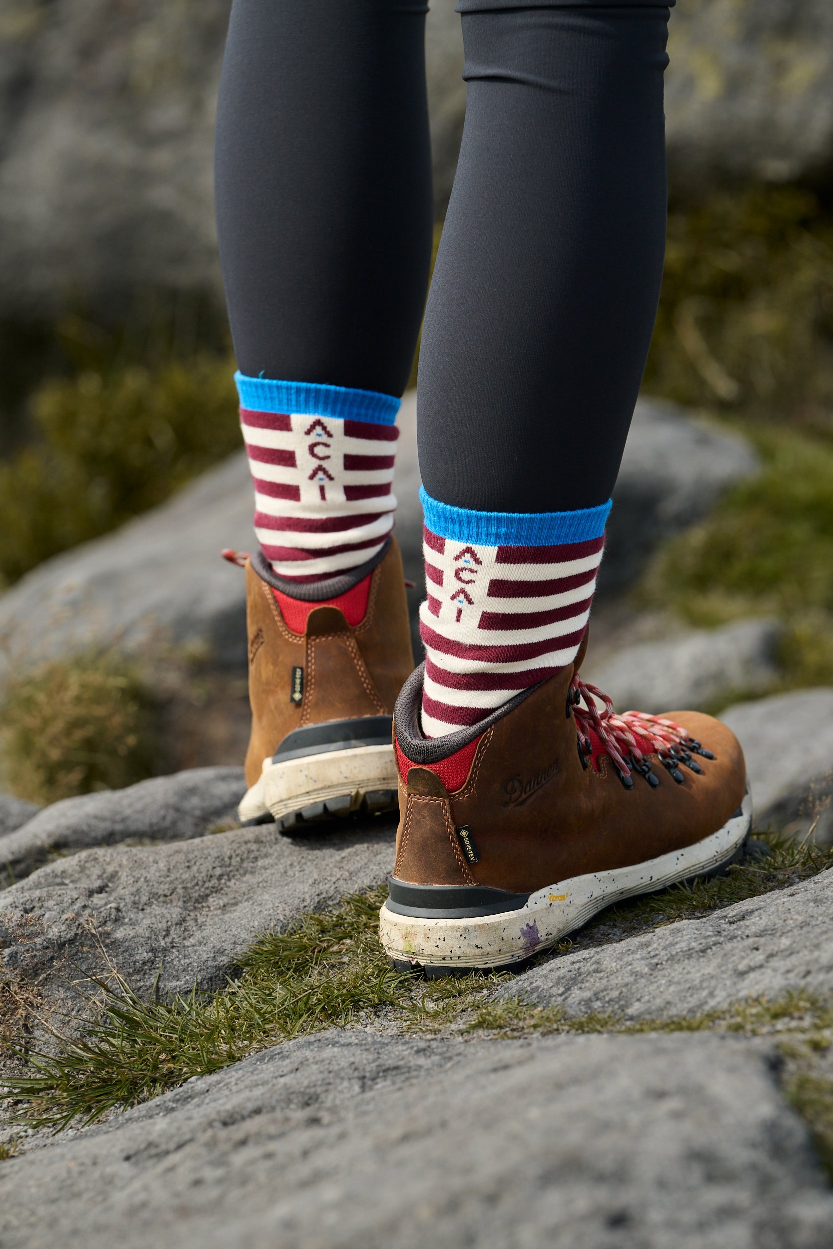 Cloudwalk Socks - Cabernet Stripe
